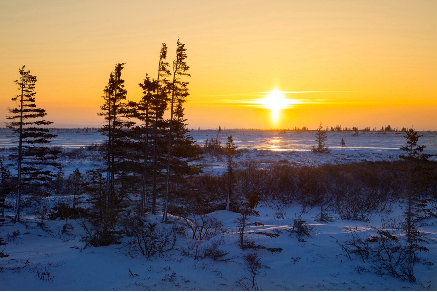 a colorful sunset on the arctic tundra