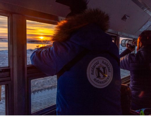 a traveler peers from the window to photograph the sunset